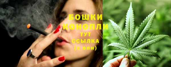 молекула духа Вязьма
