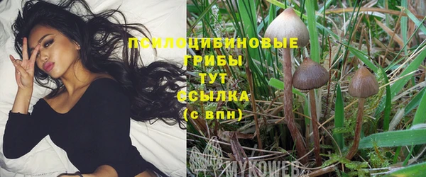спиды Волоколамск