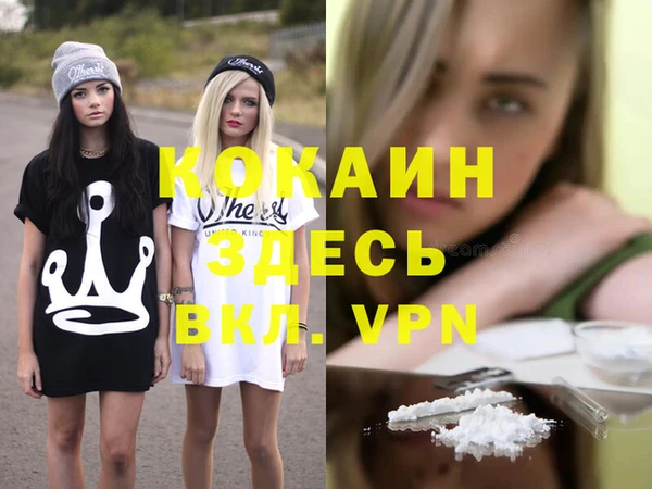 стаф Волосово