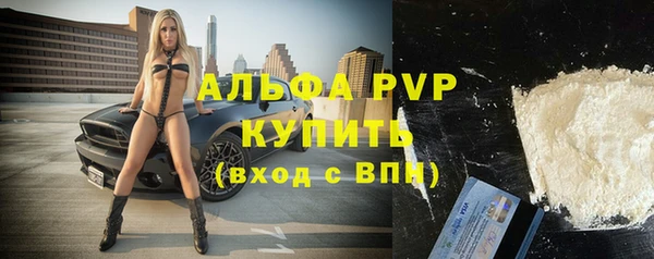 стаф Волосово