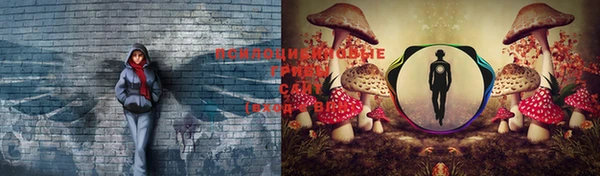 стаф Волосово