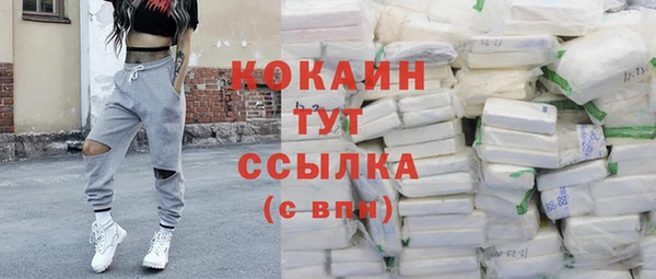 стаф Волосово
